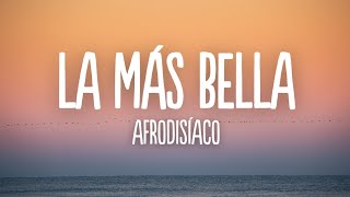 Afrodisiaco - La más bella (Letra/Lyrics)