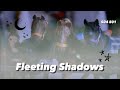 Silver Star Stables -S04 E01- Fleeting Shadows |Schleich Horse Series|