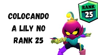 coloquei a lily no rank 25