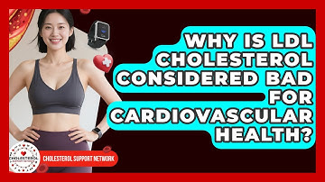Why Is LDL Cholesterol Considered Bad for Cardiovascular Health? - Cholesterol Support Network