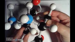 Chirality in Amino Acids