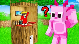I Pranked My Friends With TINY MOD in Minecraft!
