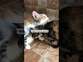 “Mama Eks sam senang melihat si Ellang mau sudah bergabung