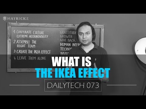 What is the IKEA Effect (2019)