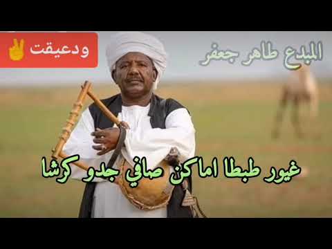 المبدع طاهر جعفر