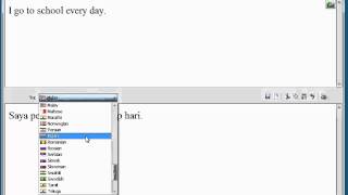 Ace Translator quick demo screenshot 3