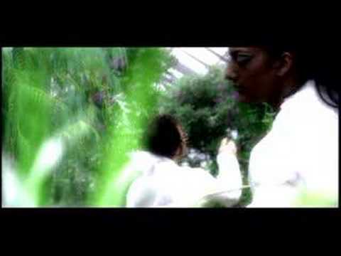 Poison/safe Video