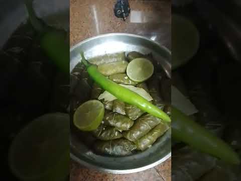 محشي الكرنب ورق العنب بالشوربه الفراخ البلدي