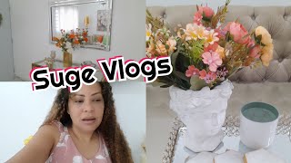 PEQUEÑOS CAMBIO EN LA DECORACION DE MI SALA / TUVIMOS QUE IR A EMERGENCIA by Suge Vlogs 2,692 views 5 days ago 20 minutes