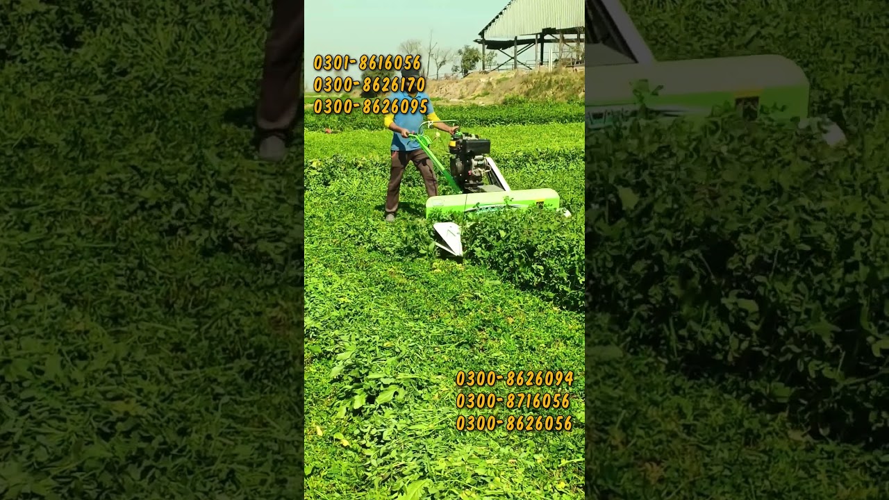 Mini Reaper Machine | Berseem Cutting Machine | 