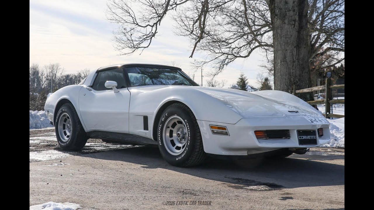 1981 Chevrolet Corvette for Sale | Exotic Car Trader (Lot #251247775)