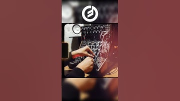 Moog Sound Studio Fun (DFAM, Subharmonicon, Labyrinth)