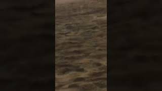 La mare .Eforie nord .