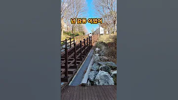 넌 감동 이었어 임영웅 