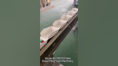 61SSD Model Conveyor Hopper Packing Machine pack irregular materials speed 30-60pcs each min