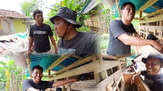 Download Lagu LAGI PENAK SITIK WES DIGAWE EKER WAE ❗️REVIEW KANDANG NUR CEMPE MP3