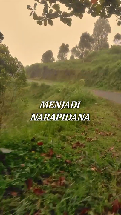 tembok derita #shorts #viralvideo
