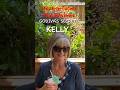Meat-n-Taters Wig Reviews //  Beki tries on Kelly by Godivas Secret Wigs in Sandy Silver