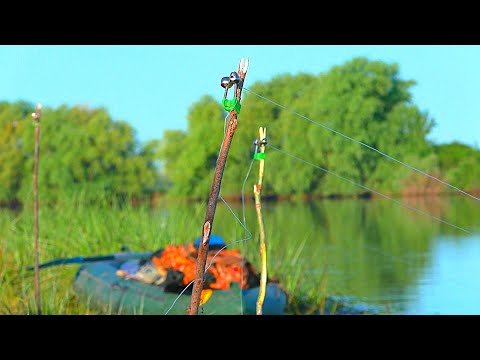 Видео: РЫБАЛКА НА ЗАКИДУШКИ. Ловля сазана на жмых (макуху).