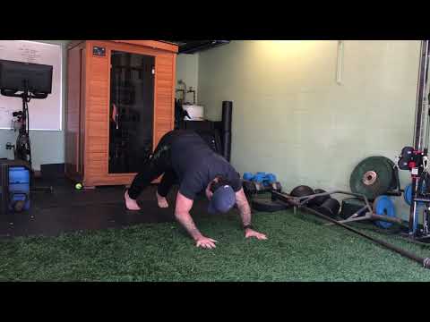 Hindu (deceleration) push up