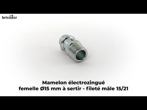 Mamelon femelle à sertir mâle à visser VIEGA