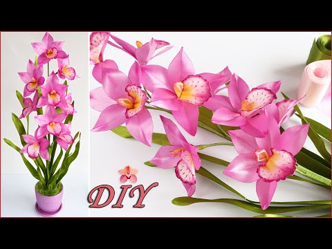 Video: Är cymbidium-orkidéer frosttoleranta?