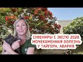 Сувениры с ЭКСПО 2020. Мочекаменная болезнь у кота. Авария. Жизнь в ОАЭ.