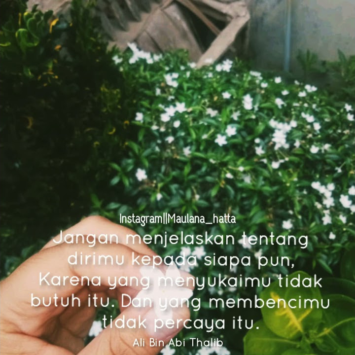 Story wa 30 detik. Sulis - Pengakuan