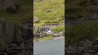 The Lake District, Patterdale, Bria, Part 2.