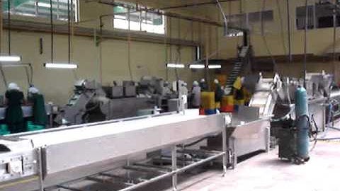 Gherkin Bulk line to Drum By Sujay industries Peenya Bengaluru