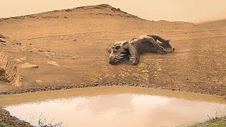 Perseverance Rover Recently Captured New 4k Mars Planet Real Video on Sol 919 | Mars 4k Video |