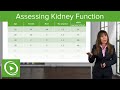 Assessing Kidney Function: Glomerular Filtration Rate (GFR): Nephrology| Lecturio