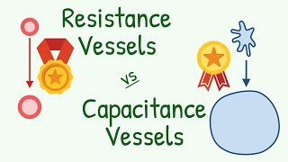 Why EXACTLY the Arteries are called Resistance Vessel? And Vains Capacitance Vessel?