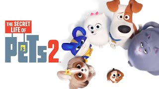 The Secret Life Of Pets 2 Foxtel Movies Ultra HD Intro