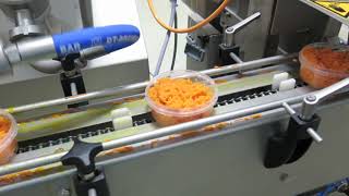 Leonhardt Shredded Carrot Dosing Solution for Salads and Convenience | Ready Meal Manufacturing