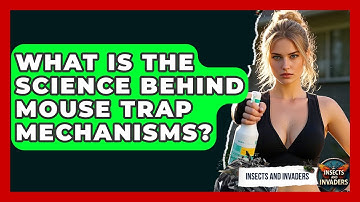 What Is The Science Behind Mouse Trap Mechanisms? - Insects and Invaders