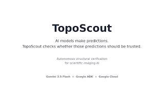 TopoScout — Autonomous Structural Verification for Scientific AI | All Things Agentic Hackathon