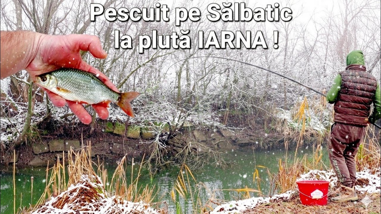 Am Pescuit pe SĂLBATIC la PLUTĂ pe GER si am prins Roșioare , Plăticuțe si Babușcă 🎣 
