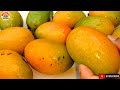 Mango fruit आम का जूस कैसे बनाते हैं घर पर juice recipe summer drinks aam ka juice kaise nikalte hai