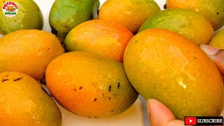 Mango fruit आम का जूस कैसे बनाते हैं घर पर juice recipe summer drinks aam ka juice kaise nikalte hai