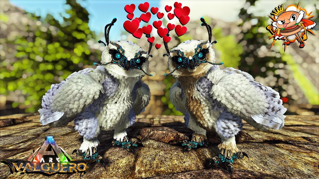 Jenny Needs An Owl! Taming And Breeding Max Level Owls! Ark Valguero