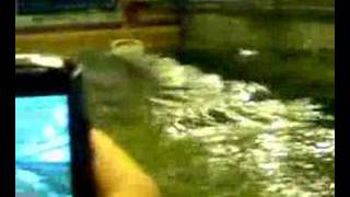 Newcastle Towing Tank,Resistance test,