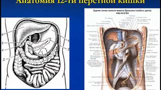 Факультетская  хирургия. Осложнения ЯБЖ. 08.09.2020