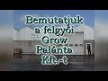 Bemutatjuk a felgyői Grow Palánta Kft.-t