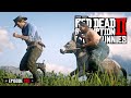 Red Dead Redemption 2 - Fails & Funnies #150