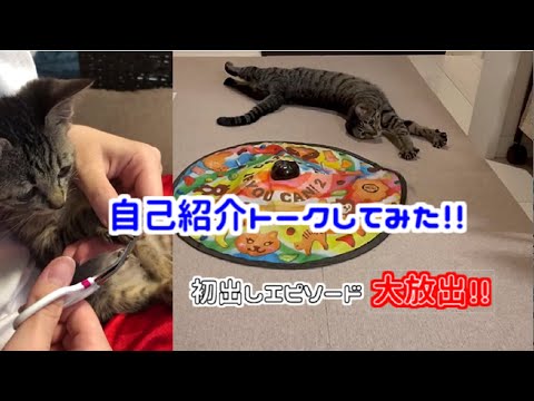 【初出し】自己紹介トークしてみた！
