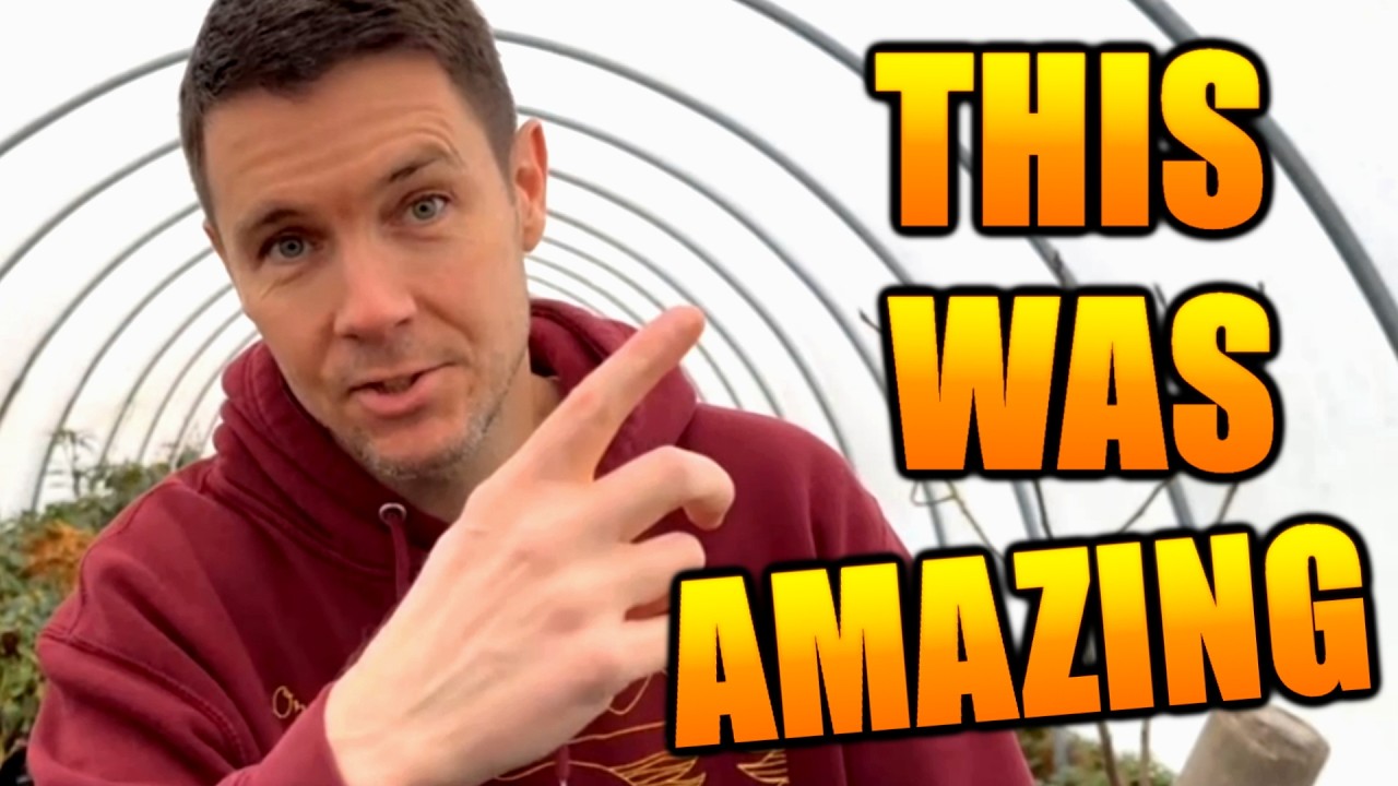 Эта подкормка удобрениями действительно помогла растениям расти.