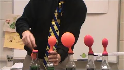 Limiting Reagent Demonstration   Vinegar + Baking Soda