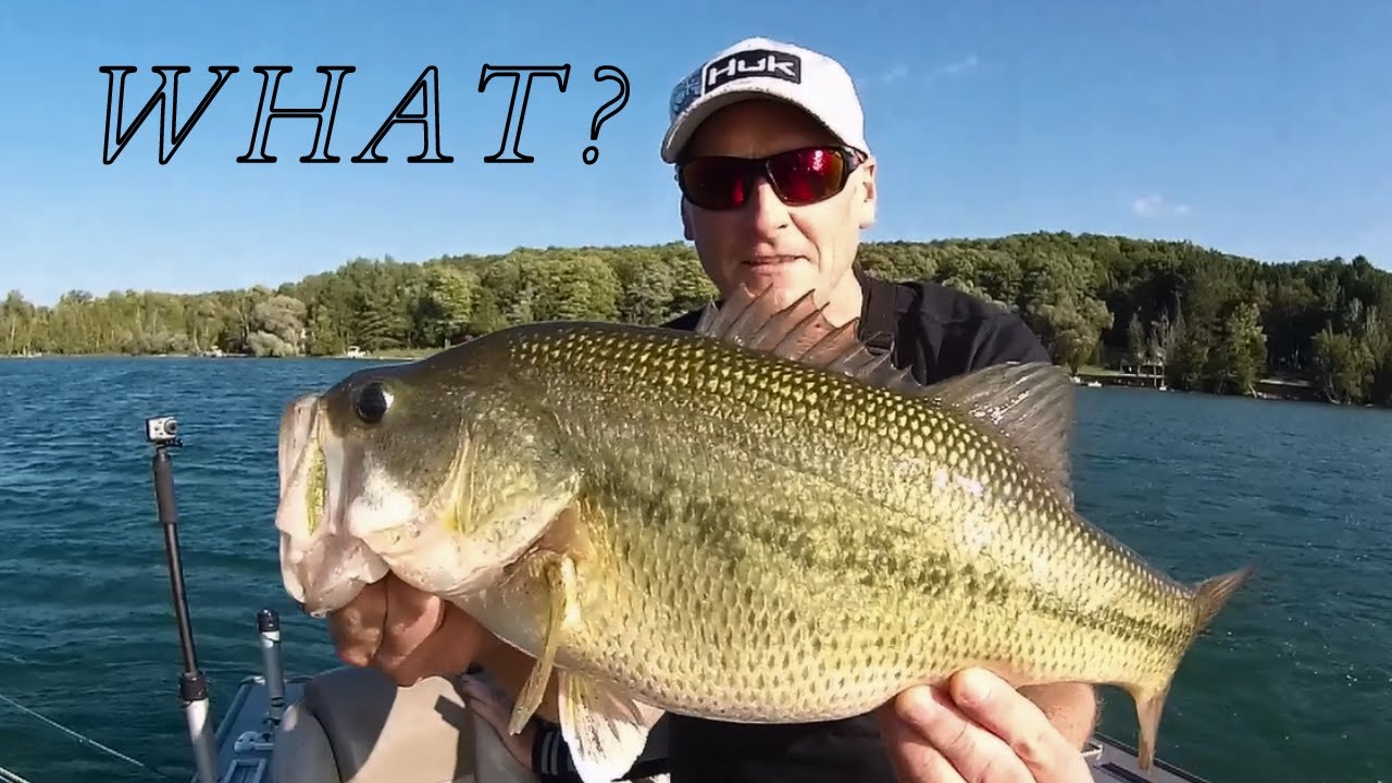 BIG BASS Fishing: Old Man Strikes Again!