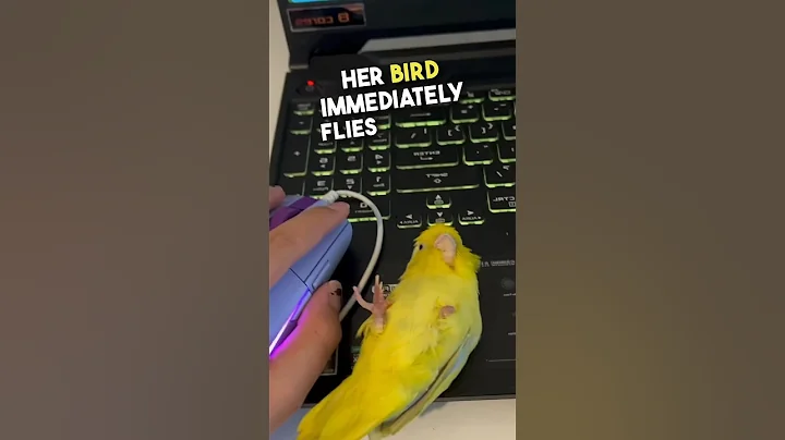 This bird just wants to be a mouse 😂😂 #shorts